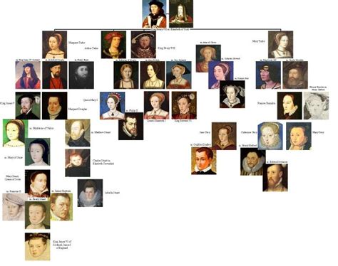 albero genealogico di enrico vii tudor|family tree of tudor.